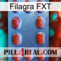 Filagra FXT 06